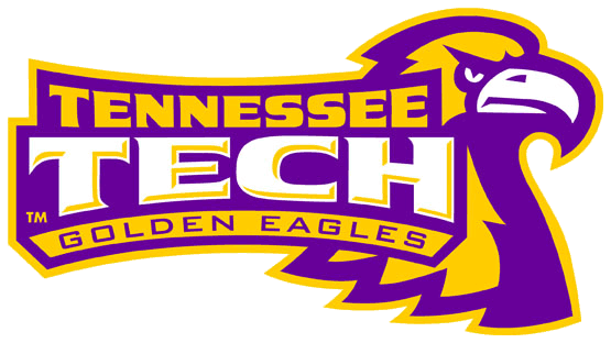 Tennessee Tech Golden Eagles 2006-Pres Alternate Logo v3 iron on transfers for T-shirts